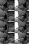 a87d2f4fd0fc5033a2430f1a70332740.jpeg