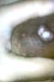 2b0e2e608addcd76d1d0a2c66dbedf89.jpeg
