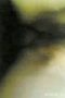 470d608c233b2548c52e00b7d3410672.jpeg