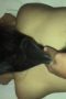 4745f9bb9406bcceb1cd62ad12343448.jpeg