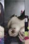 499d5cd88157d8836f39cbe44fe827c6.jpeg