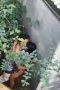 8de5a79f7a5d22feb18200567b922d79.jpeg