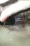 a9a5b52cc9a21d07c477f2cc75b8fb72.jpeg