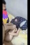 ae308f570fa4c5ecb2c70908ff84ee14.jpeg
