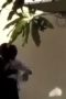 b1c8b16600ebcea97b2628d8d90d1921.jpeg