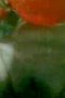 ceeb06a8c08875a78efaf99c0ee896d8.jpeg