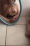 ecaf1960be81b1a7e1eab84cff8506c3.jpeg