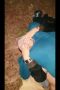 f78c32cb5838a79a04391c57472007b3.jpeg